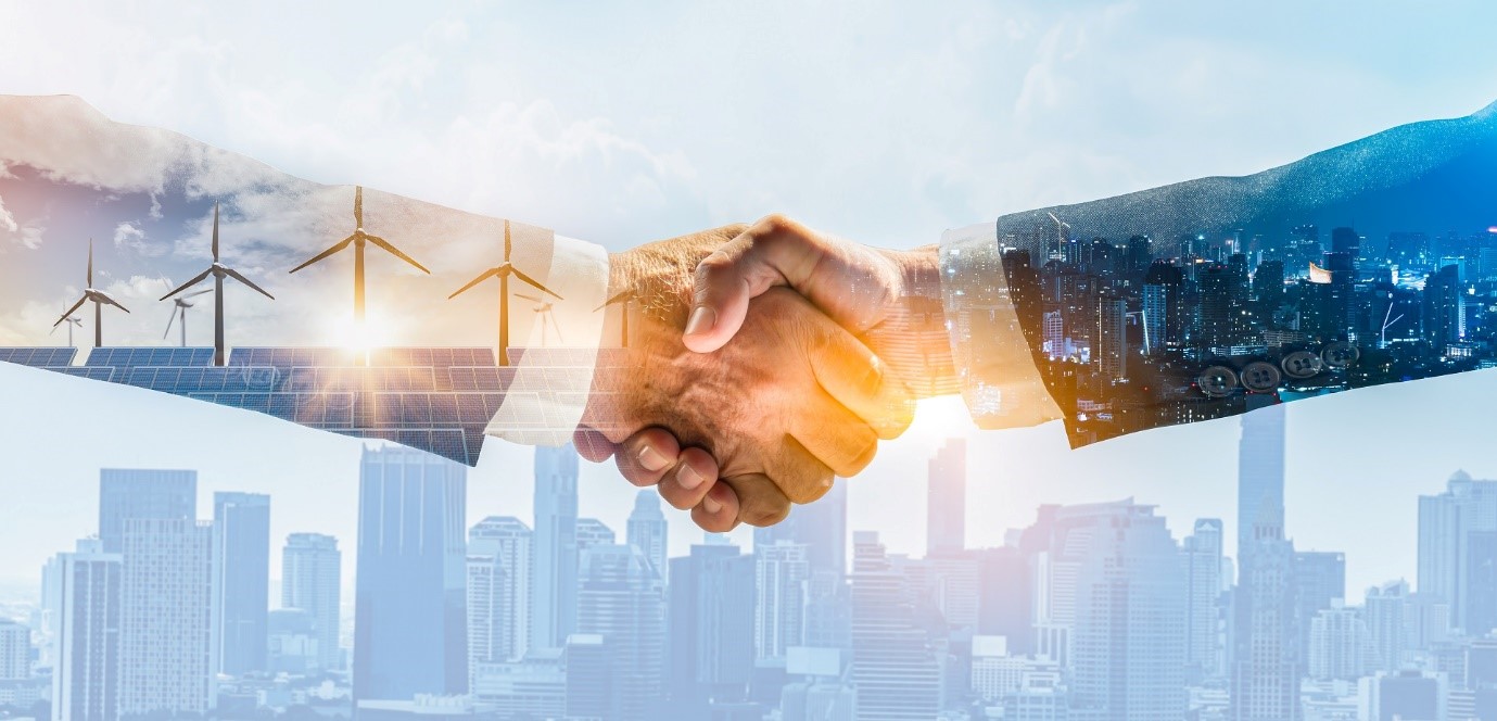 הקמת חברה בישראל לקראת שנת 2026 - שטיינמץ עמינח