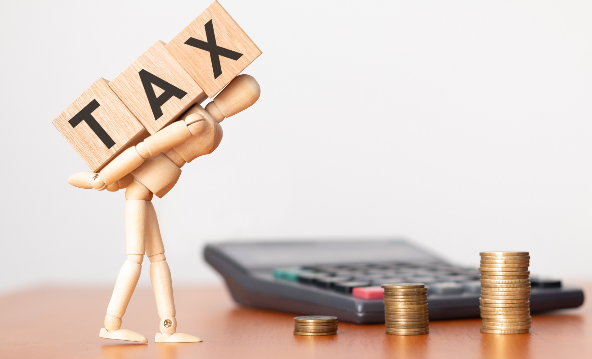 חבות מס עבור שנת המס 2025 - שטיינמץ עמינח ושות